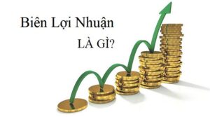 Biên lợi nhuận của nhà cái là gì?